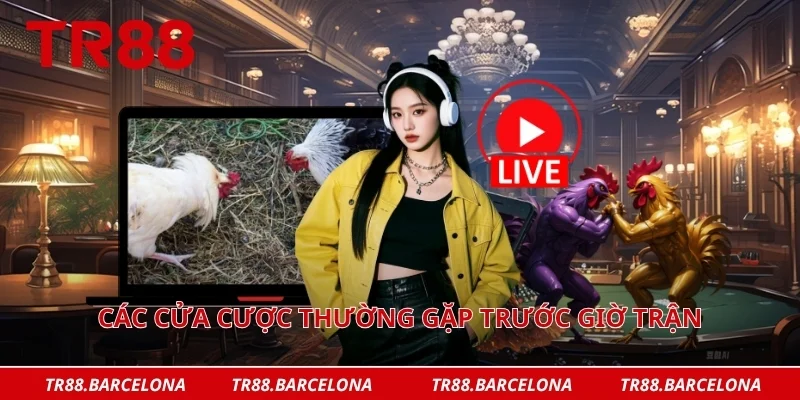 Các cửa cược thường gặp trước giờ trận