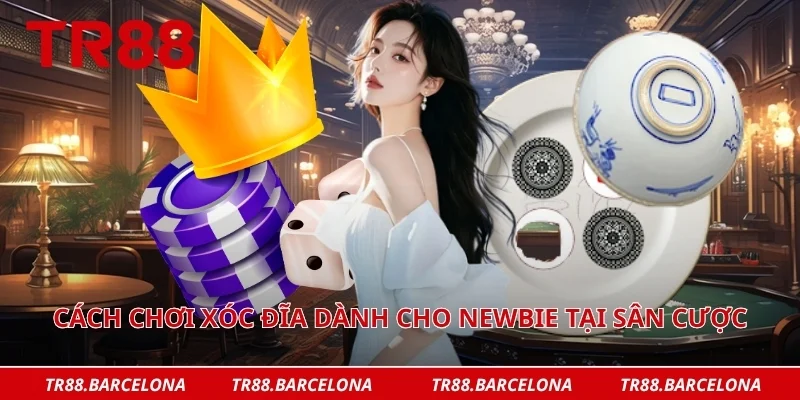 Cách chơi xóc đĩa dành cho newbie tại sân cược