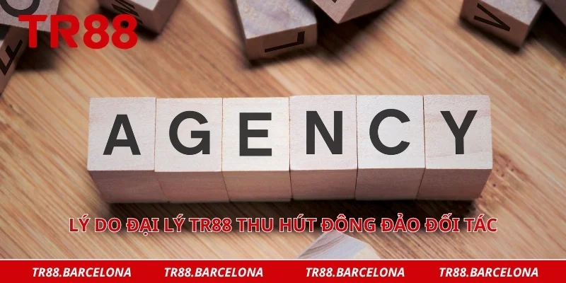 Lý do đại lý TR88 thu hút đông đảo đối tác